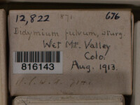 Image Associated With the Occurence